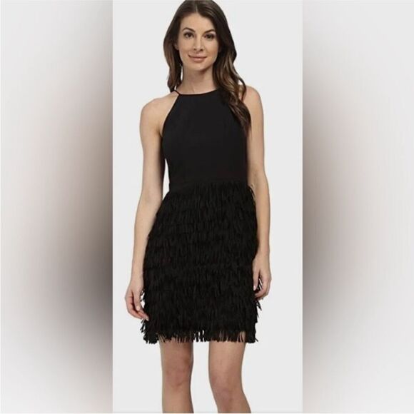 Aidan Mattox Dresses & Skirts - Aidan Mattox Elegant Black Fringe Dress, US6